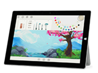 铜鼓Surface 无法开启、Windows 无法启动或电池无法充电